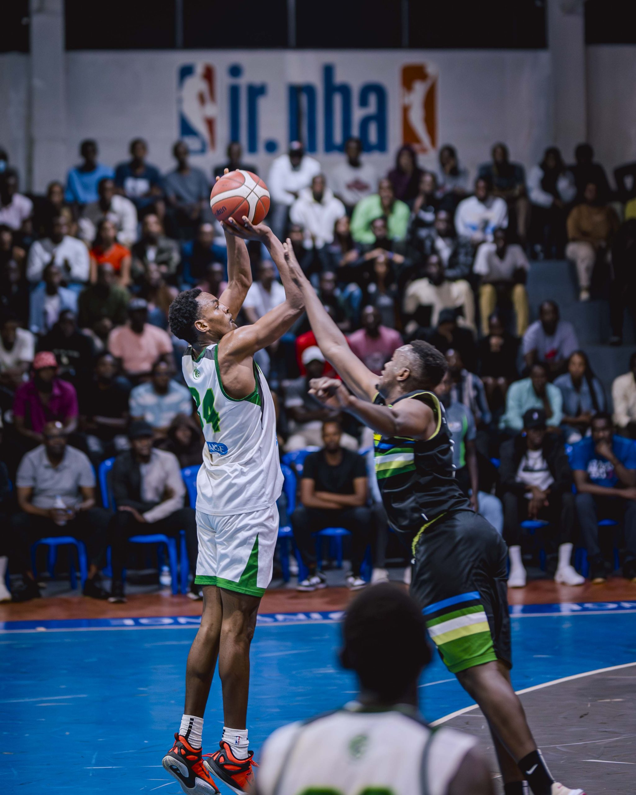 53885595840_ec3948a349_o